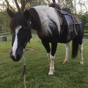 Meet your Posher, Makayla